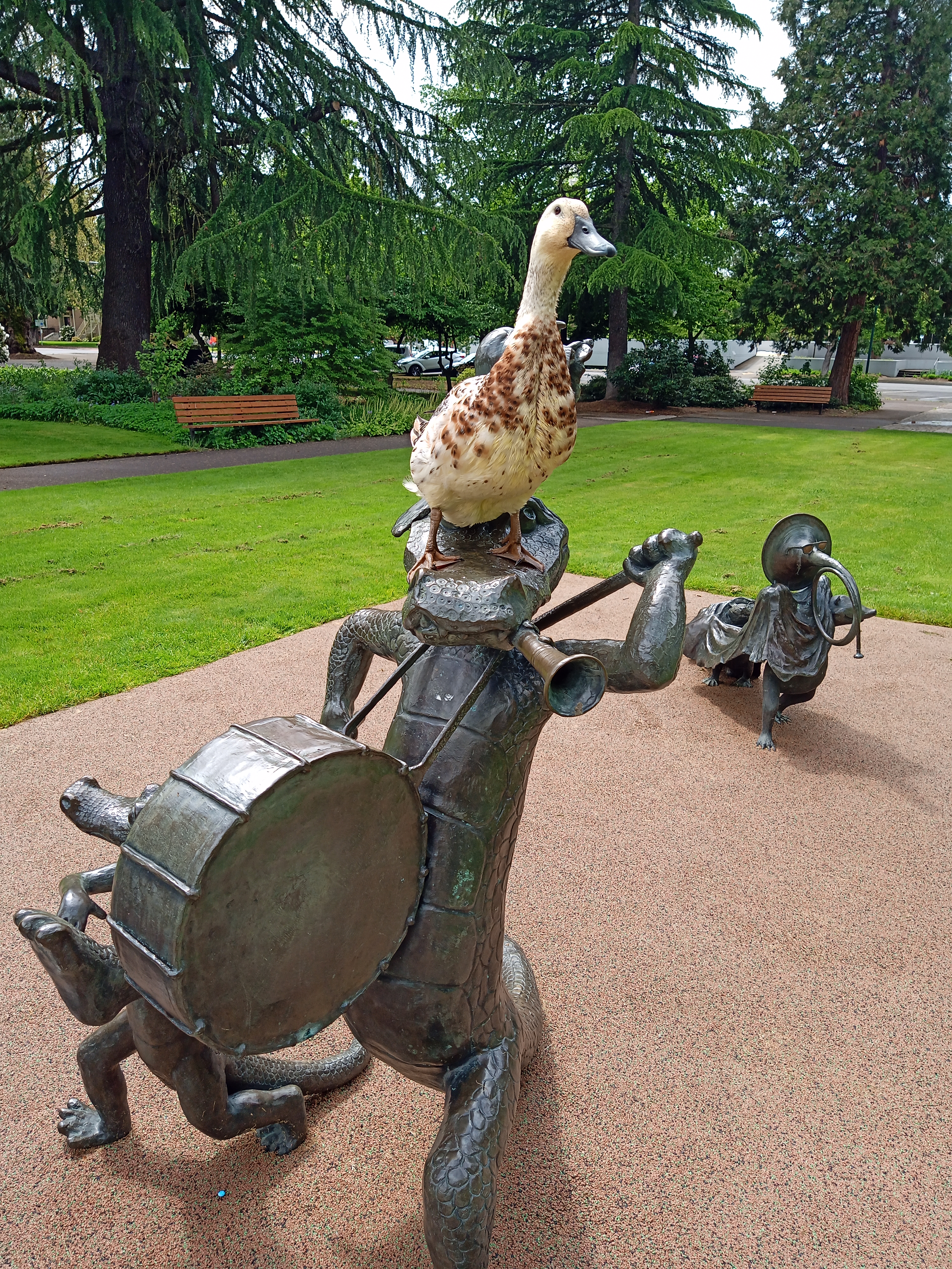 Kiwi visiting the capitol building city park. 